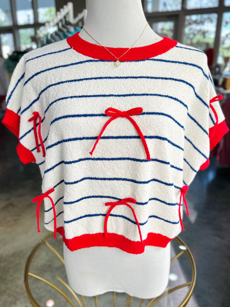 Patriotic Picnic Sweater Top