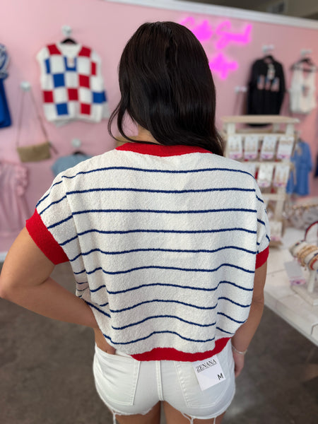 Patriotic Picnic Sweater Top