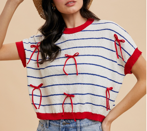 Patriotic Picnic Sweater Top