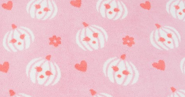 Sweet Pumpkin Blanket