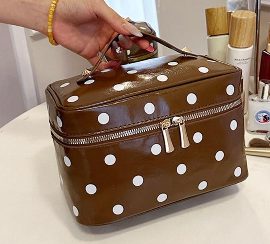 Polka Dot Cosmetic Case - Brown